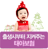 뱃속부터지켜주는태아보험